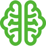 brain