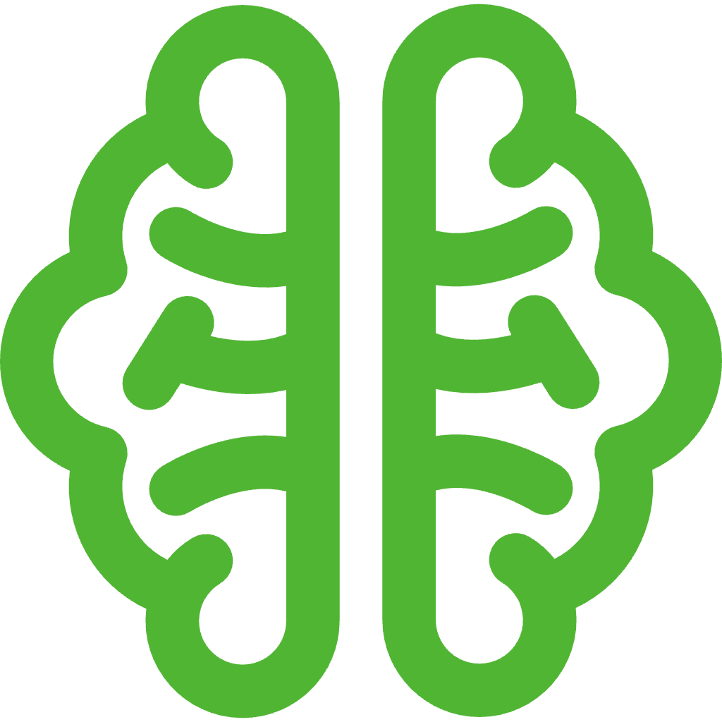 brain